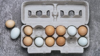 Bật mí cách bảo quản trứng gà được lâu và cách nhận biết trứng bị hỏng